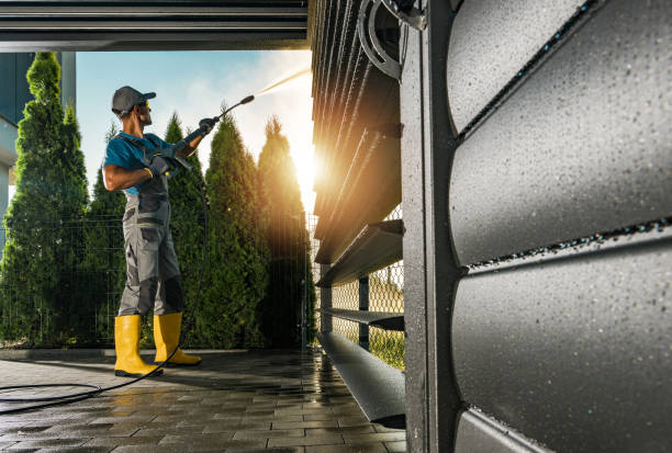 Best Gutter Cleaning and Brightening in Sachse, TX