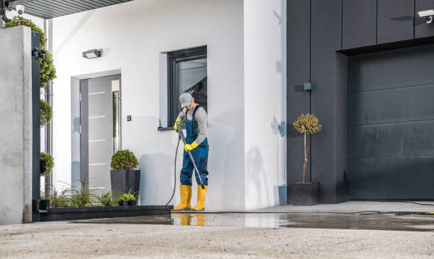 Best Driveway Cleaning and Restoration in Sachse, TX